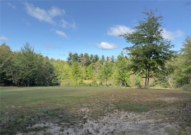 N8188 954th St, Colfax, WI 54730 - photo 6