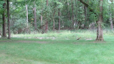 IMG_0578