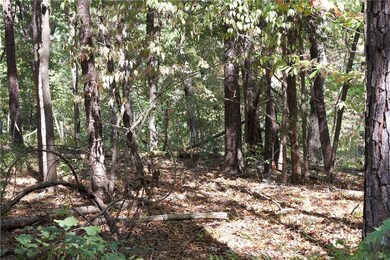 10 Kiswick Cir, Bella Vista, AR 72714 - photo 6