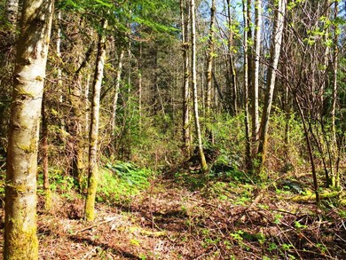 unlisted-address, Stanwood, WA 98292 - photo 5