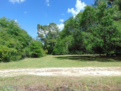 front yard of 2832 smith xing pic