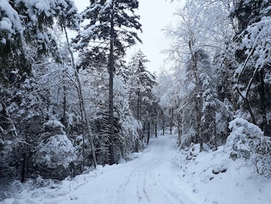 1304 Vermont Route 100 unit Lot 4 - riverfront, Readsboro, VT 05350 - photo 6