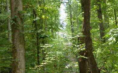 Additional View