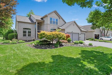 13-web-or-mls-DSC03322
