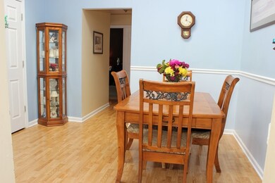 Large overhead skylight