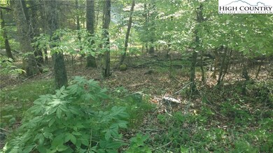 Wooded, sloping lot is buildable in one of the mos
