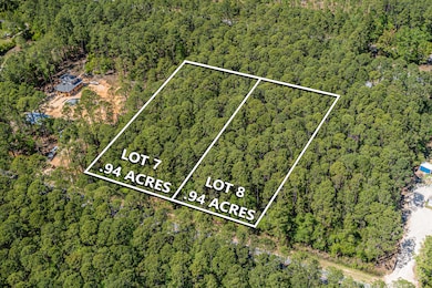 LOT 8  191 Mallet Rd, Freeport, FL 32439 - photo 5