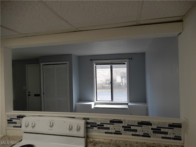 1651 Mentor Ave unit 2104, Painesville, OH 44077 - photo 5