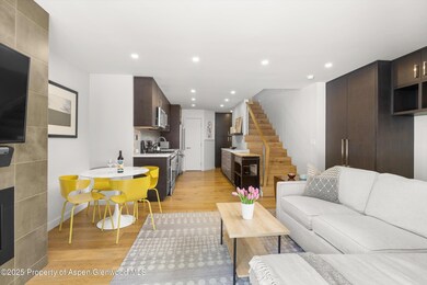 250 S Original St unit B, Aspen, CO 81611 - photo 3