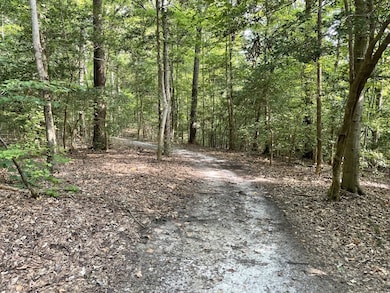 2 Settlers Landing Rd, Warsaw, VA 22572 - photo 3