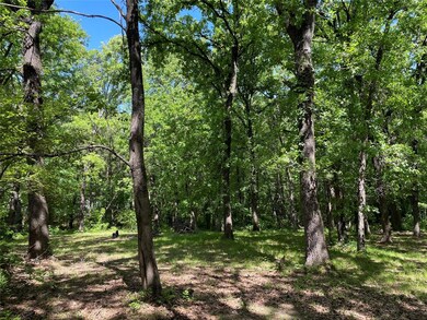 2208 Recreation Road 3, Bonham, TX 75418 - photo 4