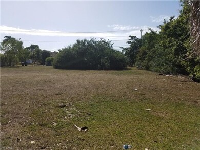View of the lot from the street