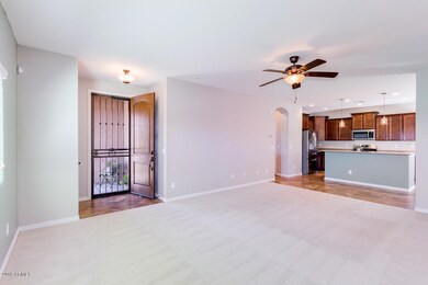 1099 W Empress Tree Ave, San Tan Valley, AZ 85140 - photo 7