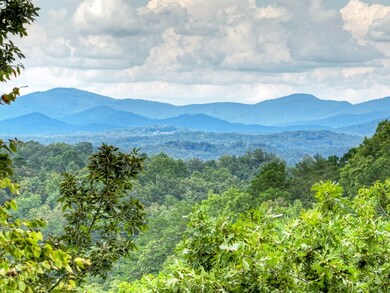 34.51 AC Weaver Creek Rd, Blue Ridge, GA 30513 - photo 4