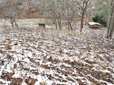 3085 Sycamore Run Rd, Glenville, WV 26351 - photo 4