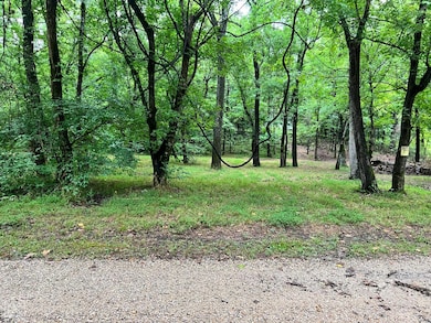 146 Creekview Rd, Hardy, AR 72542 - photo 5