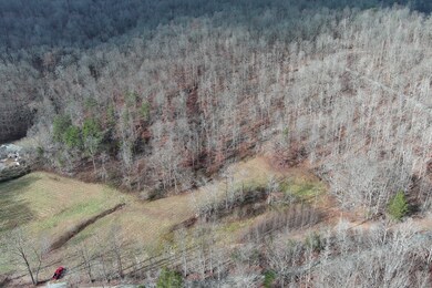 8425 Board Valley Rd, Sparta, TN 38583 - photo 5