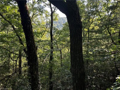 Seasonal ridge views & mature trees