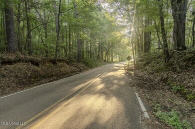 1510 Sulphur Springs Rd, Camden, MS 39045 - photo 5