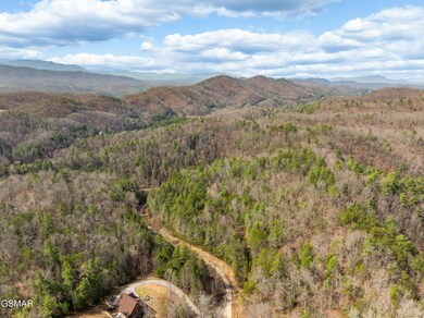 Tr1-4 Mossy Cove Way, Sevierville, TN 37876 - photo 4