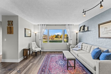 29 Border Ln unit 3, Bozeman, MT 59718 - photo 7