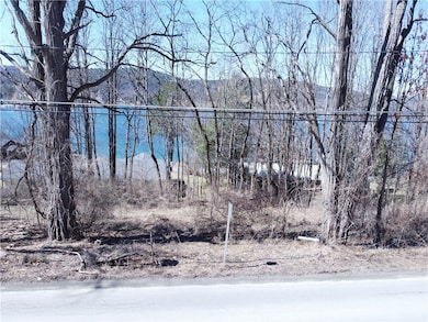 0 County Highway 31 unit R1652923, Cooperstown, NY 13326 - photo 5