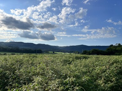 0 Old State Highway 28 unit RTC2929823, Pikeville, TN 37367 - photo 4