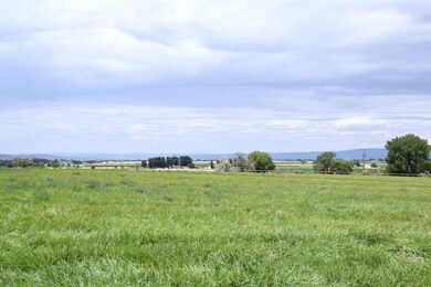 1658 O Rd, Loma, CO 81524 - photo 7
