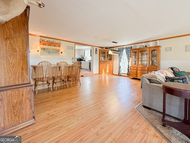 4850 New Liberty Rd, Clarkesville, GA 30523 - photo 7