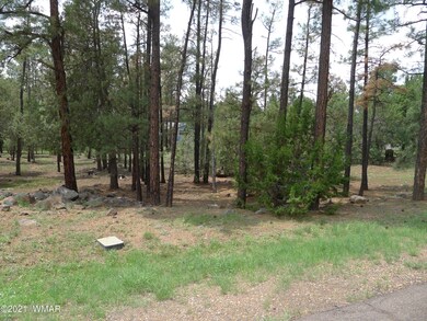 4940 S 32nd St, Show Low, AZ 85901 - photo 2