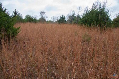 0 E 1424 Rd unit 85306, Eldorado Springs, MO 64744 - photo 5