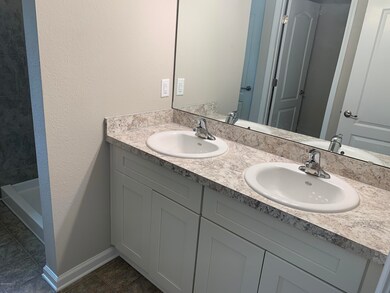 His and Her Master Sinks