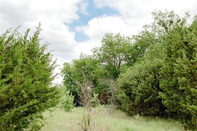 TBD 6 Ox Mill Creek Rd, Weatherford, TX 76087 - photo 2