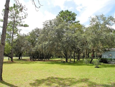 1724 E Naperville Ln, Hernando, FL 34442 - photo 7