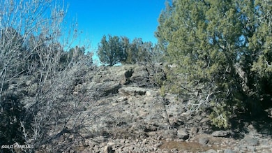 87 Acres, Ash Fork, AZ 86320 - photo 6