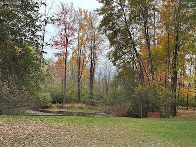 780 Wiltse Rd, Lupton, MI 48635 - photo 6