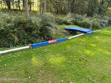 IMG_3381