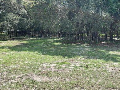 0 Drum Rd, Zephyrhills, FL 33541 - photo 6