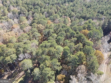 0 Heidi Trl Lot 10, Buckhead, GA 30625 - photo 3