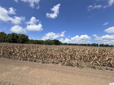 0 State Route 573 unit 80+-acres, St. Joseph, LA 71633 - photo 5