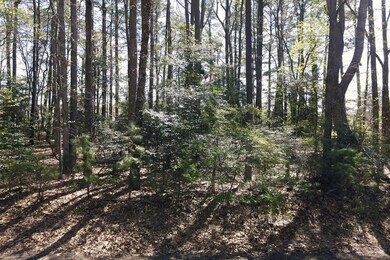 146 Captains Corridor unit 146, Greenbackville, VA 23356 - photo 5