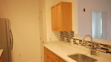 Walnut Place Condominiums unit 202, Peabody, MA 01960 - photo 3