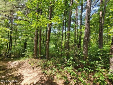 0 Bowater Rd S unit 1310981, Pikeville, TN 37367 - photo 6