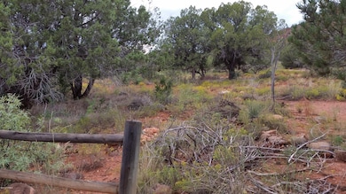 Sloping lot is perfect for custom home!