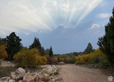 1050 Meadow Rd unit 156157, Mount Pleasant, UT 84647 - photo 3