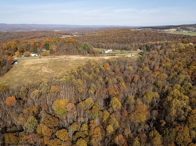 TBD N Preston Hwy, Bruceton Mills, WV 26525 - photo 3