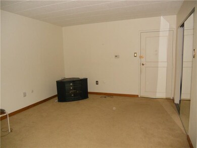 Living Room. Large Bright Living Room