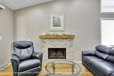 Gas Fire Place