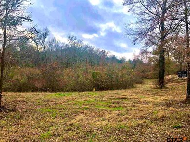 0000 County Road 21, Tyler, TX 75707 - photo 6