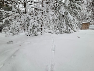 V/L Abermanis Trail, Luther, MI 49656 - photo 3